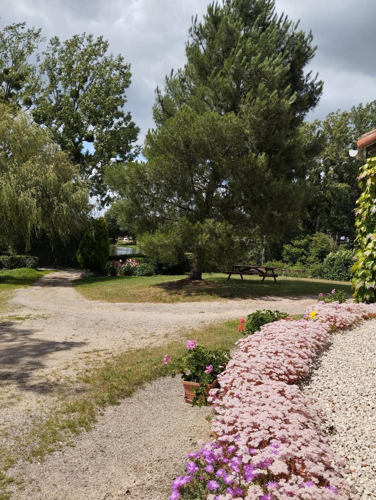 Maison Au Calme Avec Vue Etang Clesse  Luaran gambar